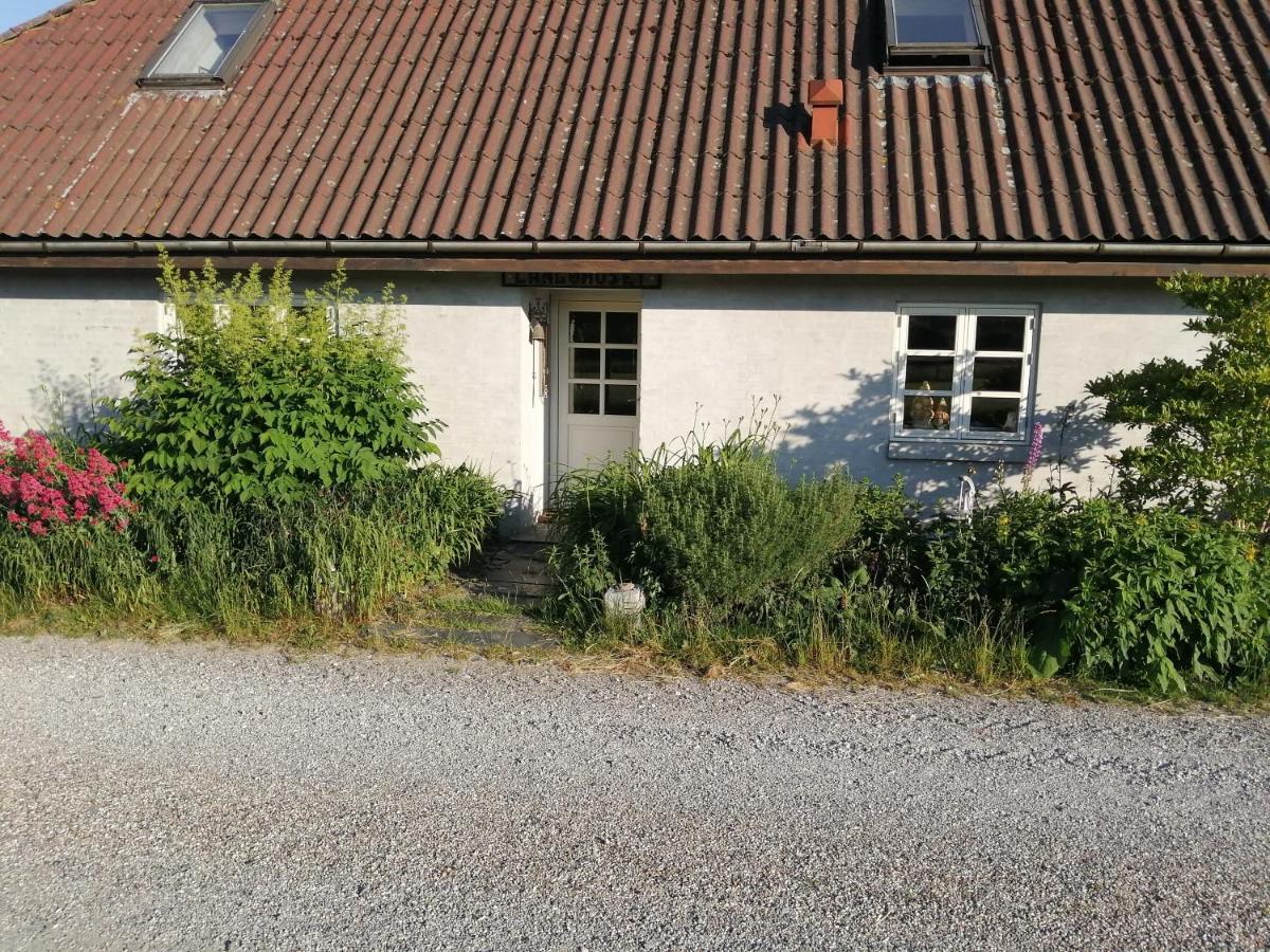 Langøhuset Apartment Langebaek Bagian luar foto